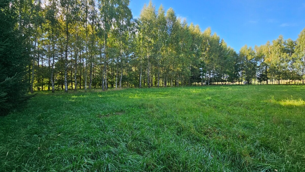 Elbląg SZULC & SZULC BIURO NIERUCHOMOŚCI NA SPRZEDAŻDziałka budowlana - Kamiennik Wielki, gmina