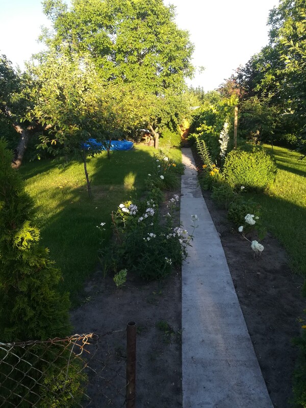 Elbląg Sprzedam działkę ROD, pow. 301m-ul. Dabrowskiego.
Działka typowo rekreacyjna, drzewa owocowe(jabłonki,