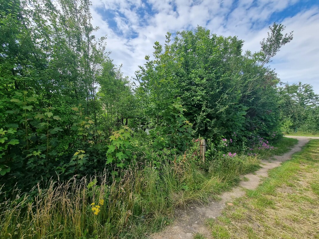 Elbląg 🌳 Sprzedam działkę ROD przy ul. Kościuszki 46 🌞Powierzchnia: 330 mkw | Prąd