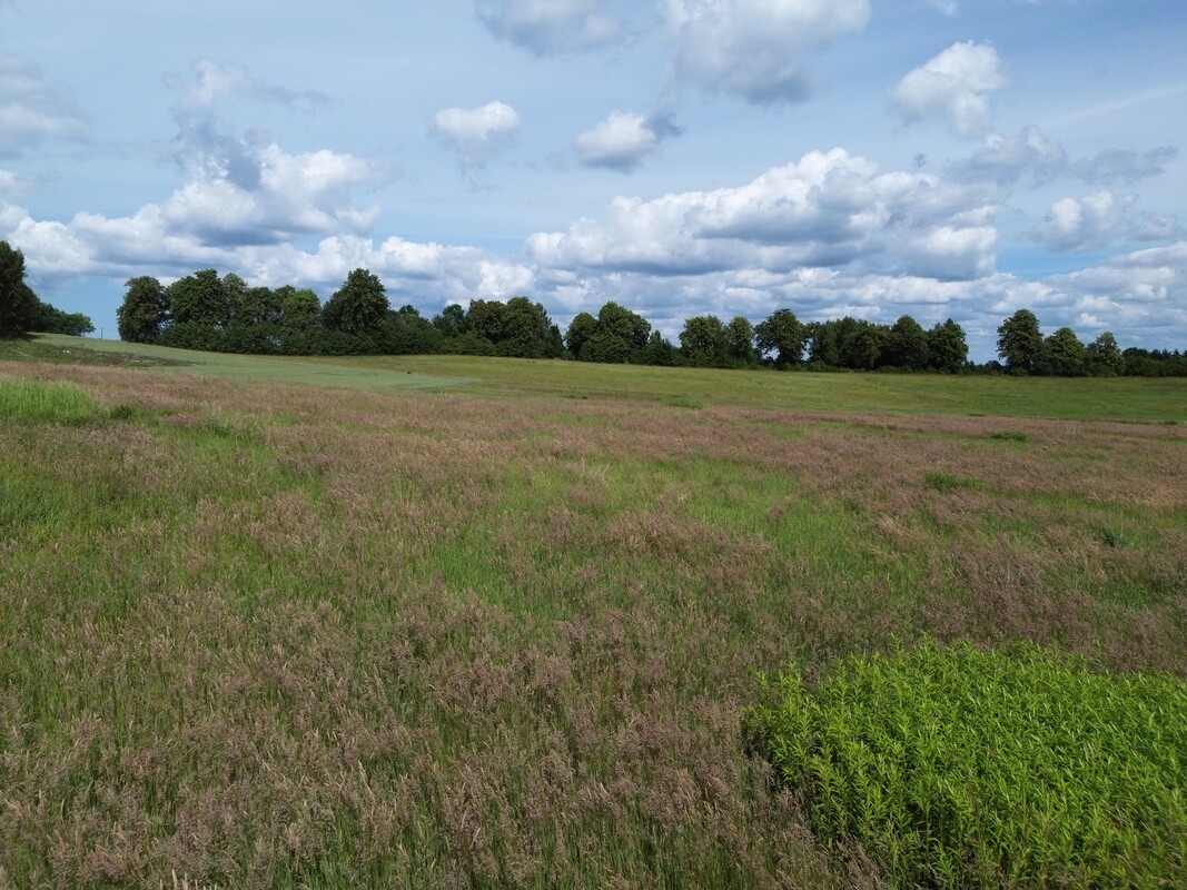 Elbląg NIERUCHOMOŚCI ANNA KRASZEWSKA Działka budowlana o pow.9645 m2 na nowopowstającym osiedlu domów