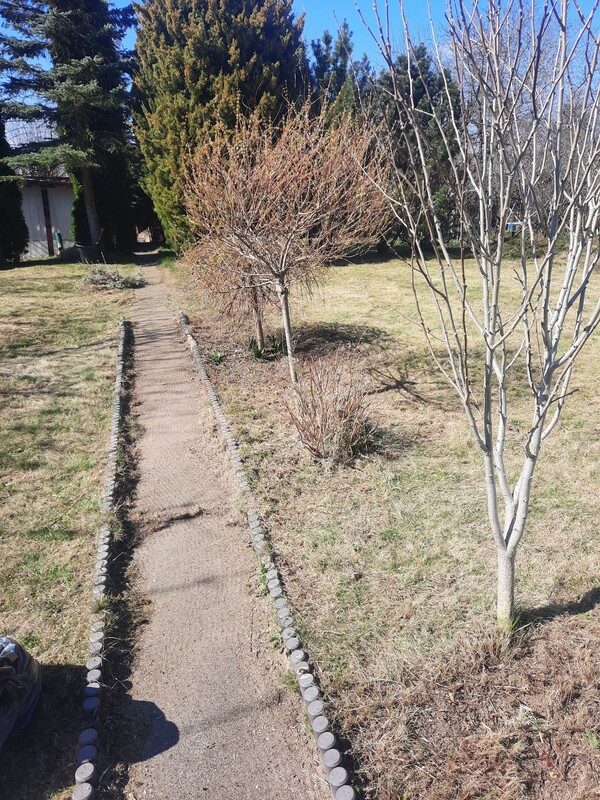 Elbląg sprzedam działkę rod Słoneczne Wzgórze na Bielanach o pow.450m ², drewniana altanka, osobne WC, woda,