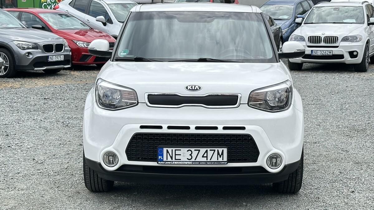 Elbląg Auto LeewLEWANDOWSKI