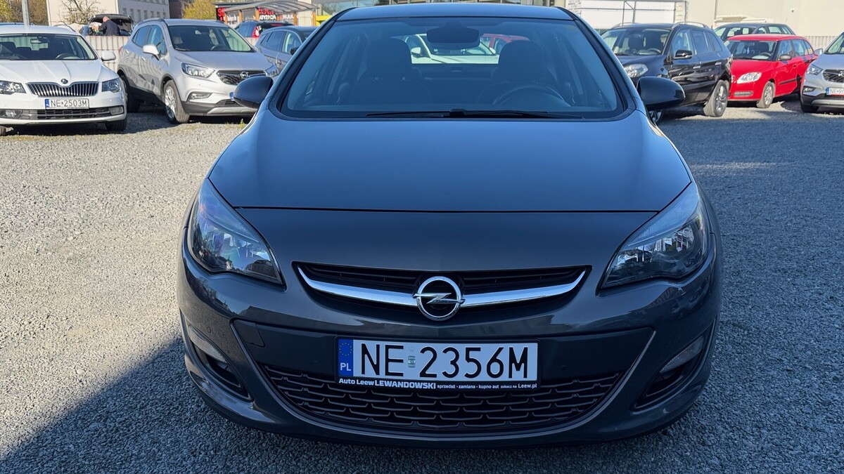 Elbląg Auto Leew LEWANDOWSKI