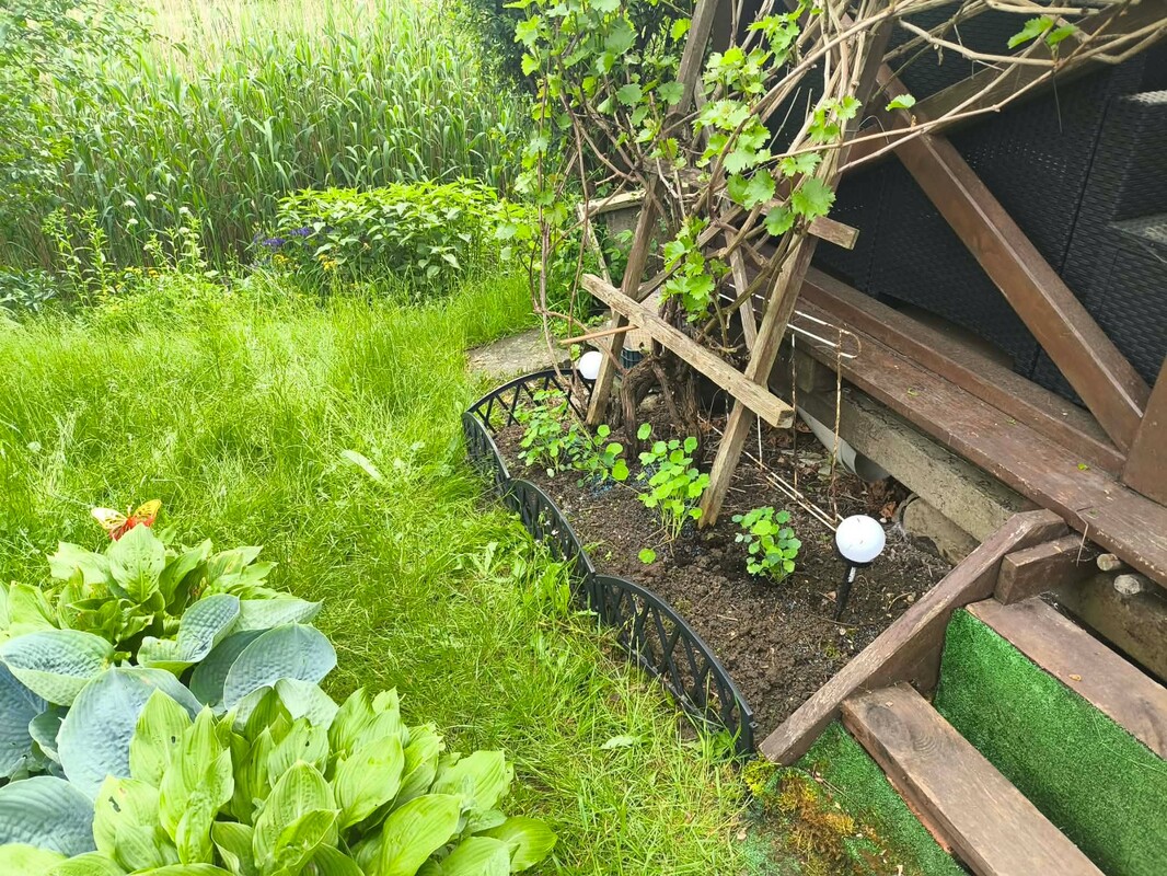 Elbląg Sprzedam działkę ROD w Tęczy