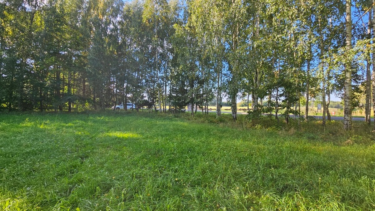 Elbląg BIURO NIERUCHOMOŚCISZULC& SZULCDziałka budowlana - Kamiennik Wielki, gmina MilejewoPowierzchnia - 3034 m2Na