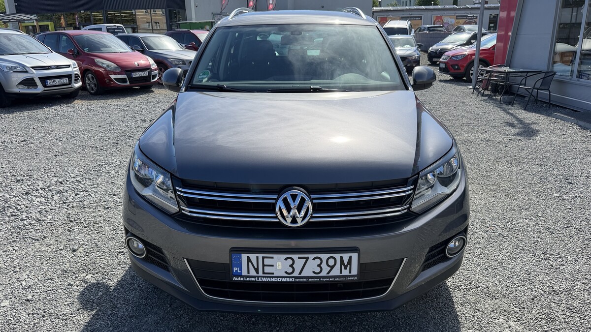 Elbląg Auto Leew LEWANDOWSKI