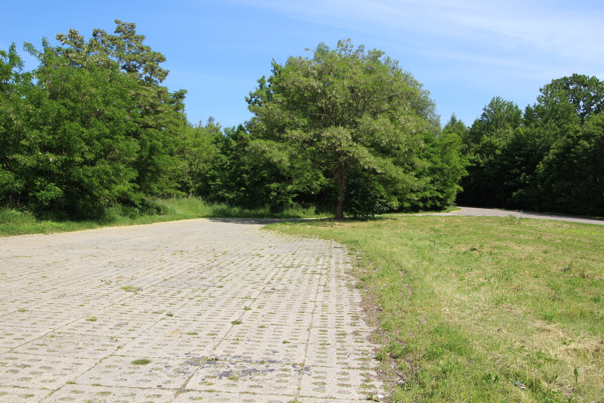 Elbląg NIERUCHOMOŚCI ANNA KRASZEWSKA Działki w miejscowości Suchacz, gm. Tolkmicko W pobliżu