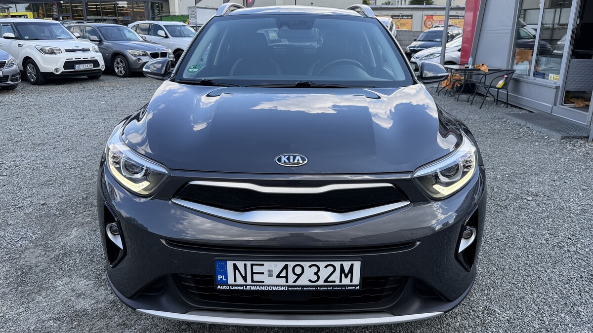 Elbląg Auto Leew LEWANDOWSKI
