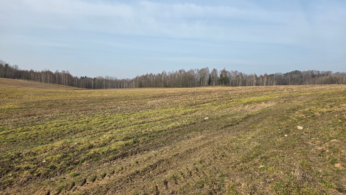 Elbląg SZULC & SZULC BIURO NIERUCHOMOŚCI NA SPRZEDAŻDziałka budowlana - Stare Monasterzysko