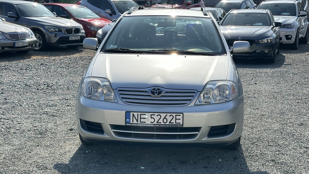 Elbląg