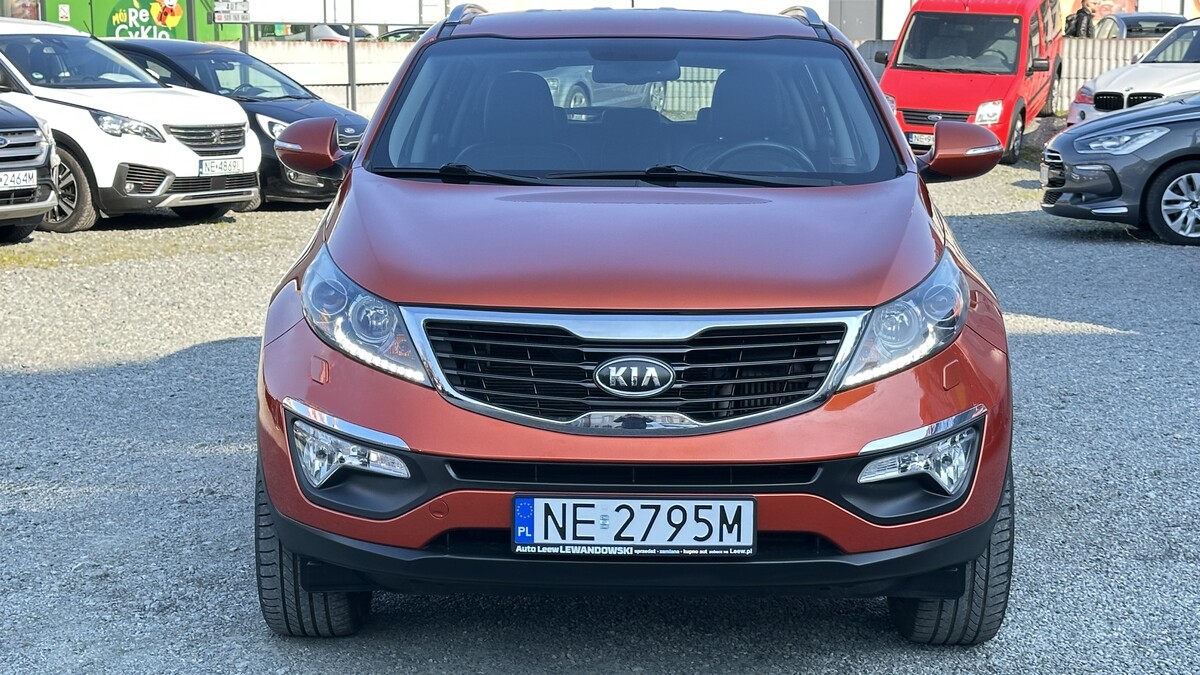 Elbląg Auto Leew LEWANDOWSKI