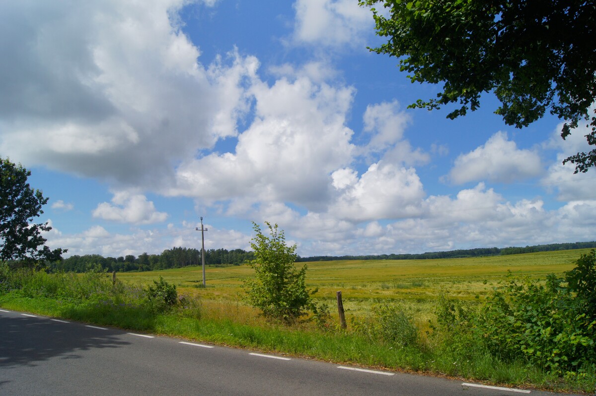 Elbląg 🌳 Atrakcyjne działki k. Elbląga – 6 km od miasta, KOMFORTOWE MIEJSCE DO ŻYCIA 🌳Elbląskie