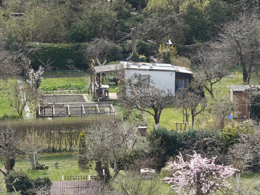 Elbląg Działka 400 m2 ROD Magnolia z altanką