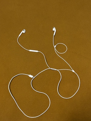 Elbląg Sprzedam słuchawki Apple EarPods Lighting, leżały cały czas w szafce i bardzo mało używane
płatność: przelew na