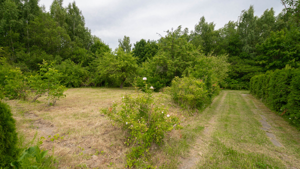 Elbląg 🏡  Sprzedaż prawa do dwóch  działek  ROD – Elbląg, ul. Wyżynna 
