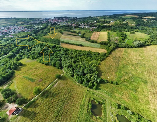 Elbląg NIERUCHOMOŚCI ANNA KRASZEWSKA  Działka z warunkami zabudowy  o powierzchni 1,2 hektara 