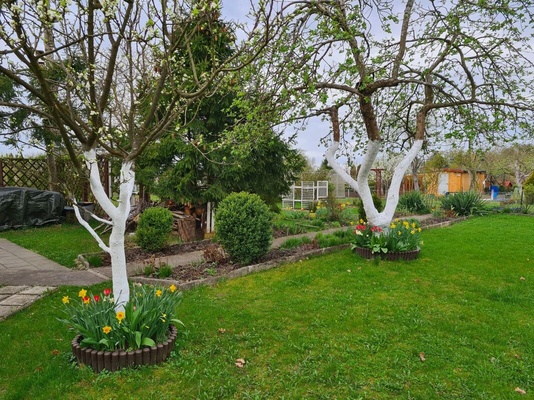 Elbląg 🌳🏡 NA SPRZEDAŻ – DZIAŁKA W ROD „ BRATEK” ELBLĄG, UL. OKRĘŻNA / FROMBORSKA