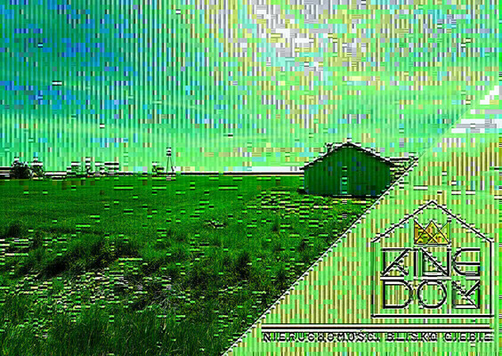 Elbląg 👑🏠  KINGDOM  🏠👑NIERUCHOMOŚCI BLISKO CIEBIEUROKLIWIE POŁOŻONA DZIAŁKA