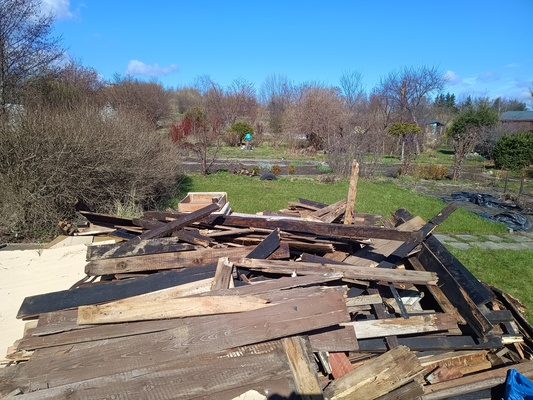 Elbląg Oddam drzewo do palenia transport w swojim zakresie. Pomogę załadować