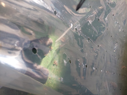 Elbląg Sprzedam folie ogrodnicza. dziurkowana ok 50 pod uprawę.