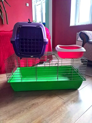 Elbląg Oddam za 120 zł komplet dla zwierzątka, klatka, transporter, kuweta. Wymiary klatka dł 75 cm, szer 45 cm, wys