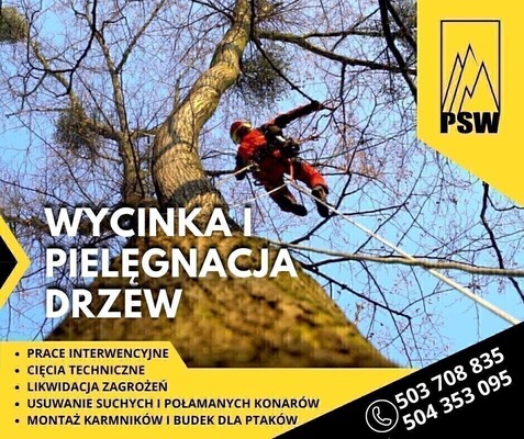 Elbląg 🌳 Wycinamy i pielęgnujemy drzewa w miejscach trudno dostępnych 🌳Podcinamy drzewa owocowe,