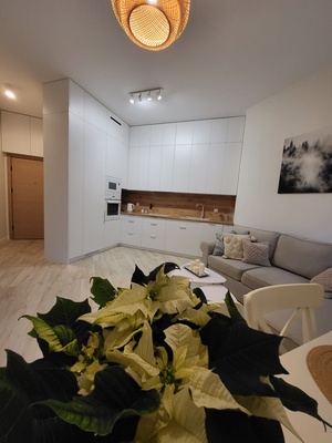 Elbląg Ciche mieszkanie 2-pokojowe w centrum Elbląga, z tarasem