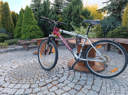 Elbląg Sprzedam niedrogo za 500 zł dwa rowery na chodzie. Wystarczy mały lifting i można jeździć. Trzeci rower gratis