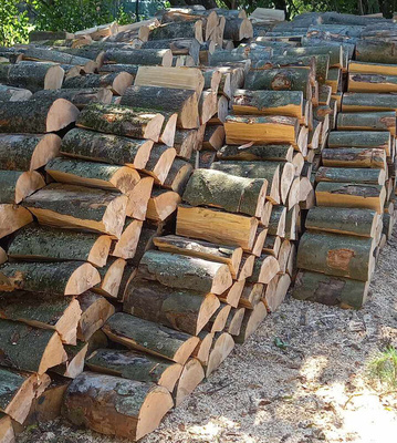 Elbląg Drewno Kominkowe I Opałowe Buk. Transport Gratis