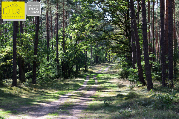 Elbląg FUTURE NIERUCHOMOŚCISprzedam działkę - Wycinki.&nbsp;PIĘKNIE POŁOŻONA DZIAŁKA, BLISKO JEZIORA KAŁĘBIEPOD