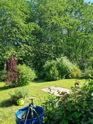 Elbląg 🌳 Działka ROD Bielany Wzgórze 🌞