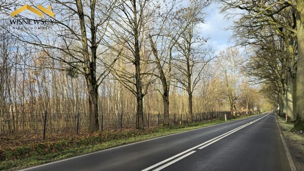 Elbląg WIŚNIEWSCY NIERUCHOMOŚCI Sp. z o.o.Sprzedam działkę - Dawidy. Oferta sprzedaży działki rolnej z decyzją o