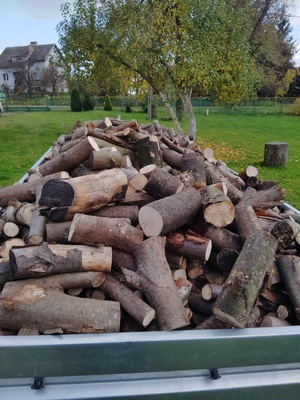Elbląg Sprzedam drewno opałowe mieszane liściaste (buk, dąb, grab. brzoza, olcha)
220zł/m3 dowóz na terenie miasta w