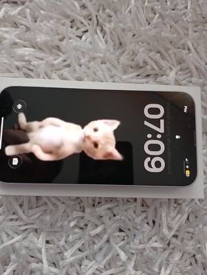 Elbląg Sprzedam iPhone 14 różowy 128GB kupiony w sklepie 02 września 2024 (do 02:września 2025 i rok rękojmi sklepu )