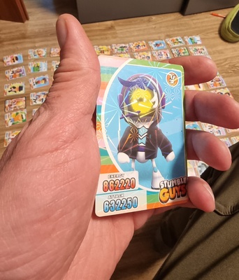 Elbląg Sprzedam komplet 98 kart Stumble Guys. Karty są używane, jednak w idealnym stanie. Są odblaskowe jak widać na