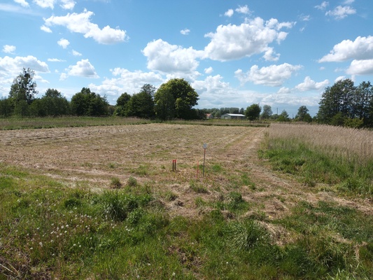 Elbląg SPRZEDAM DZIAŁKĘ 10/5&nbsp; POD ZABUDOWĘ JEDNORODZINNĄ&nbsp; W ELBLĄGU -RUBNO&nbsp; PRZY UL RZEPAKOWEJ 5&nbsp;