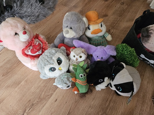 Elbląg Oddam misie pluszowe za paczkę kawy.