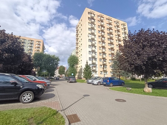 Elbląg STATOR NIERUCHOMOŚCI - 30 lat w Elblągu DO WYNAJĘCIA