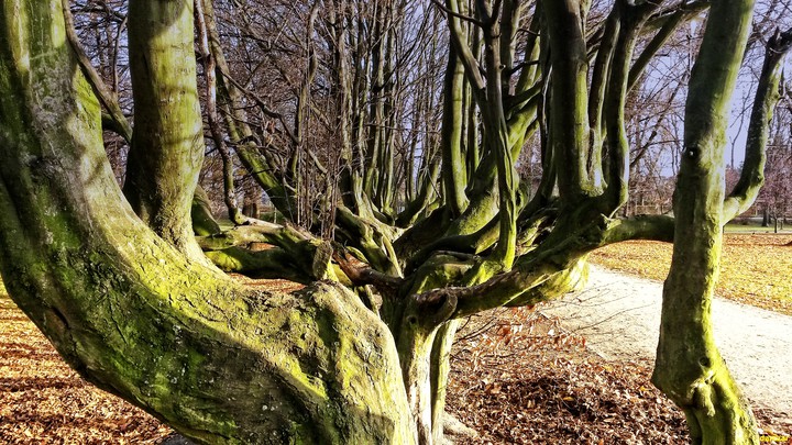 park Kajki Elbląg