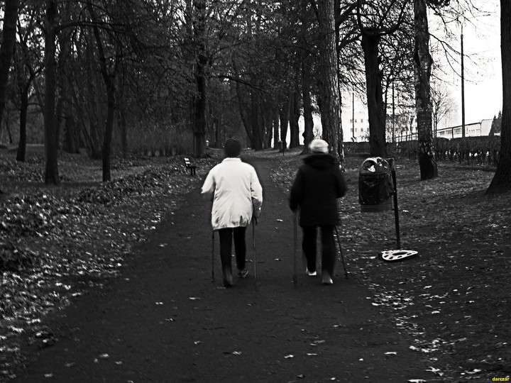 Popołudniowy nordic walking - Park Modrzewie