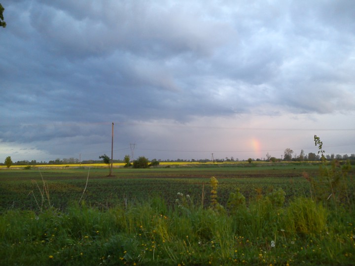 Tęcza.  (Maj 2015)