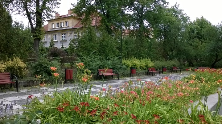 Ukwiecony, zadbany park Kajki.