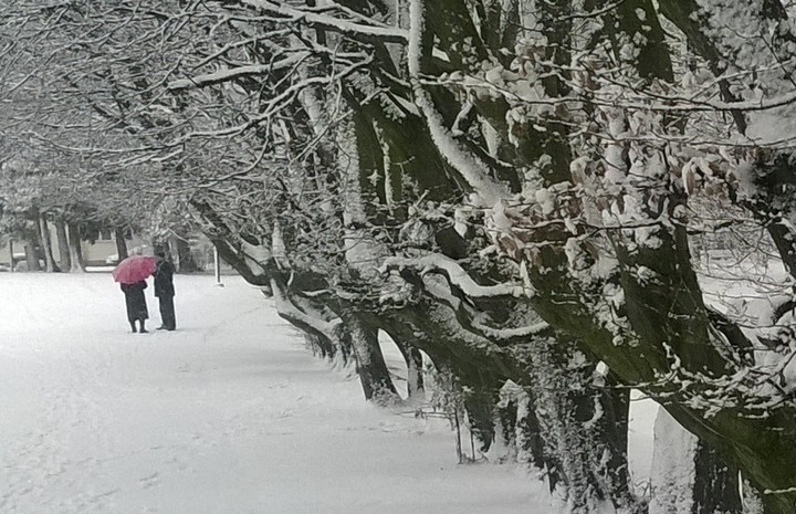 Zachwyciła puszystością i kolorem.....