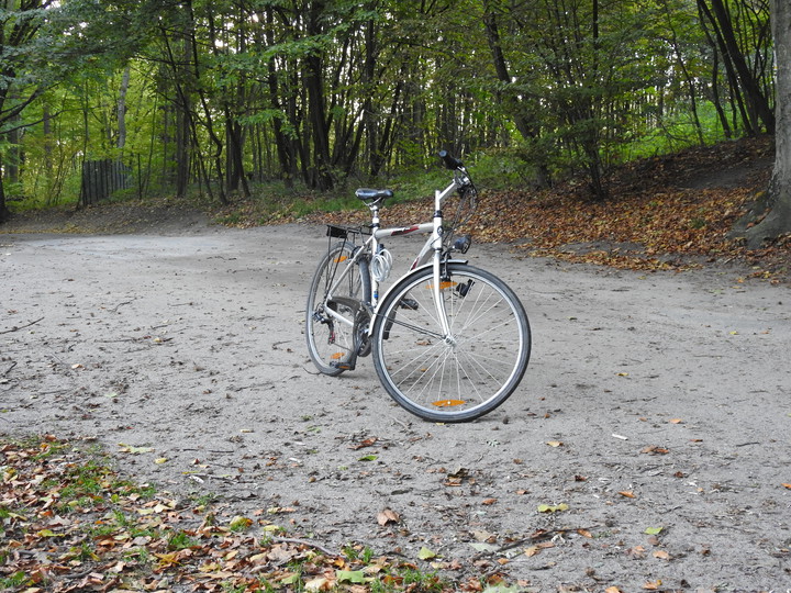 Samotność na Green Velo