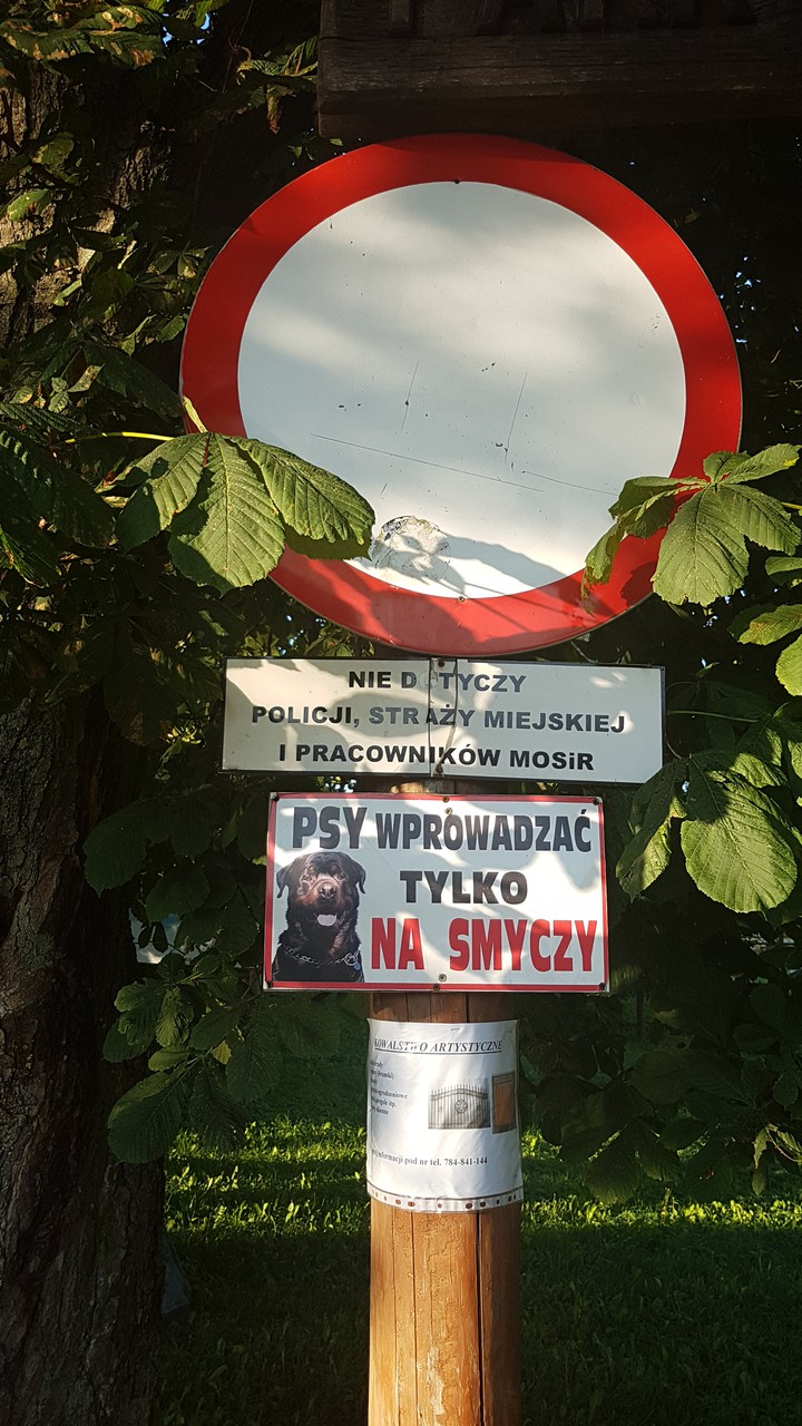 Nie wszyscy muszą mieć smycz