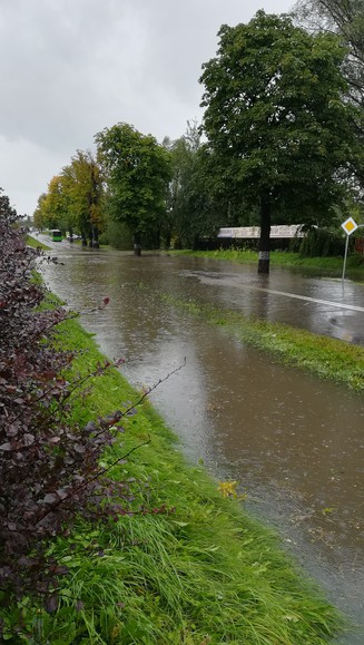 Fromborska. Gdy strumyk płynie z wolna...