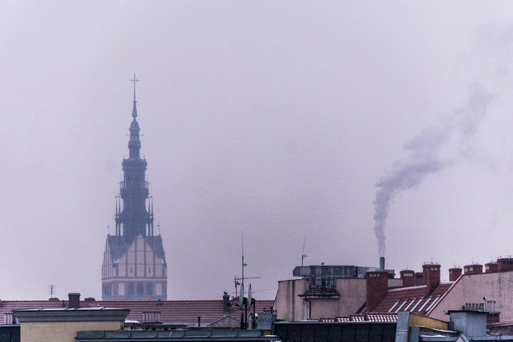 Śmiercionośna mgła o poranku...