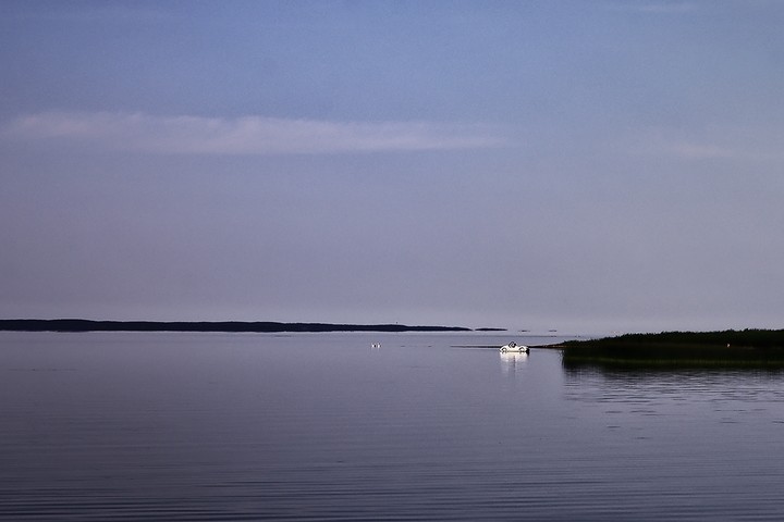 Można?. Suchacz