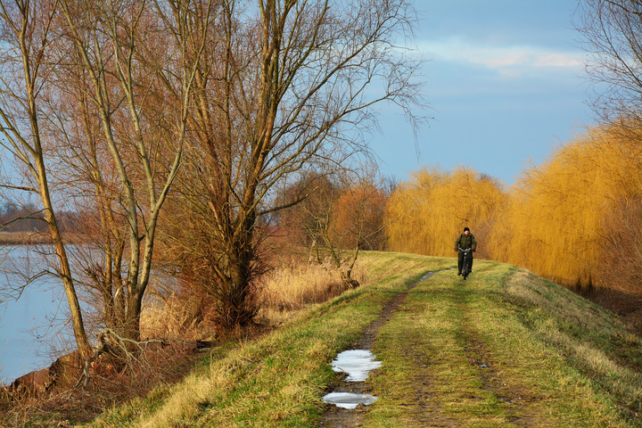 Styczniowy rowerzysta