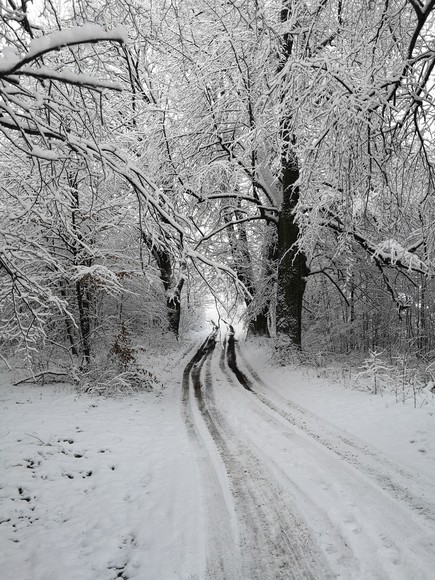 Śnieżna Kraina.